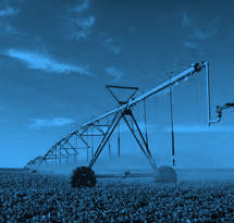 Produção Agrícola